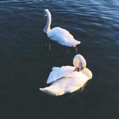 开运·kaiyunapp下载