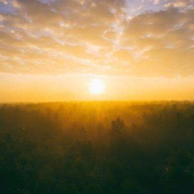 NG28下载地址官网