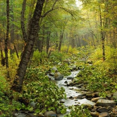 棋牌游戏app下载