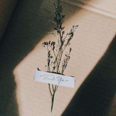 管家婆一码一肖资料下载手机版